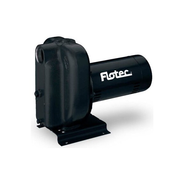 Pentair Flow Technologies Flotec Cast Iron Sprinkler Pump 2 HP FP5252